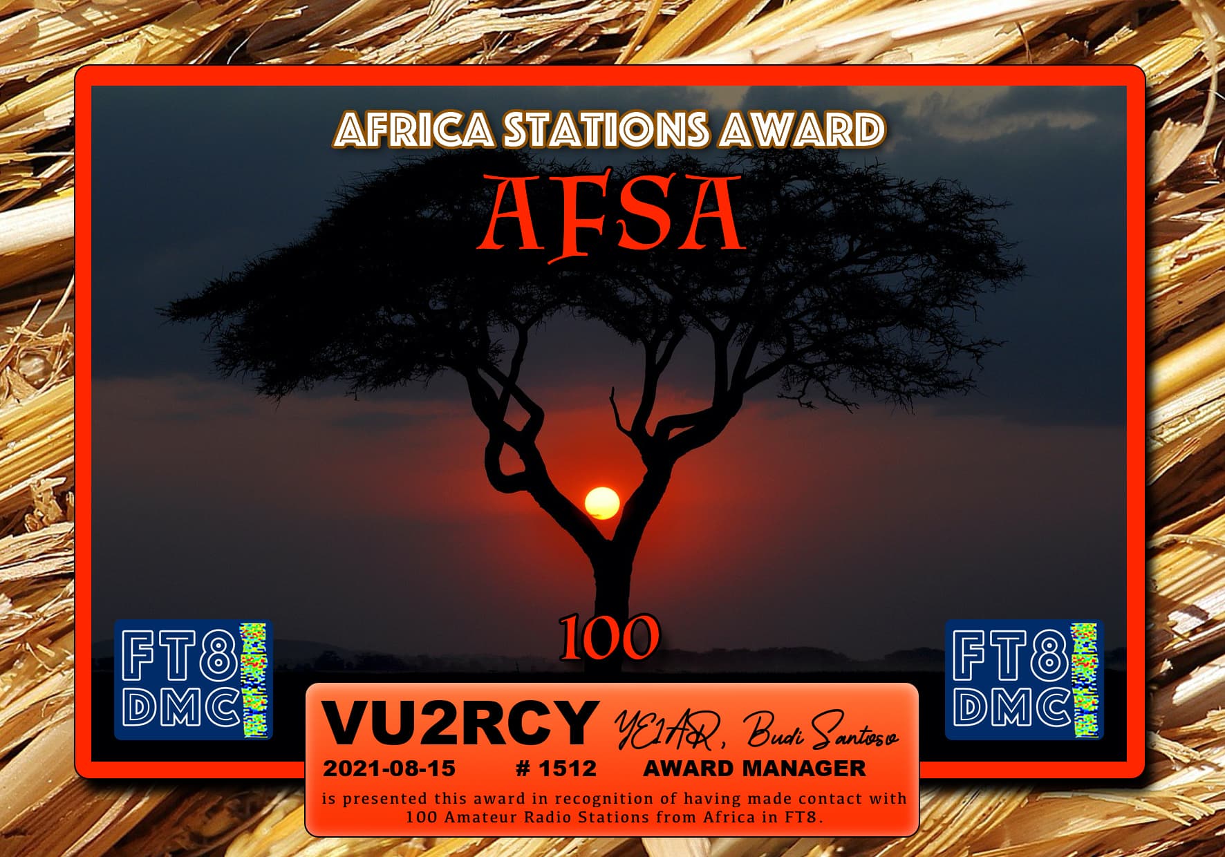 VU2RCY-AFSA-100_FT8DMC.jpg